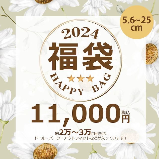 【数量限定】5.6~25cmサイズ 2024福袋