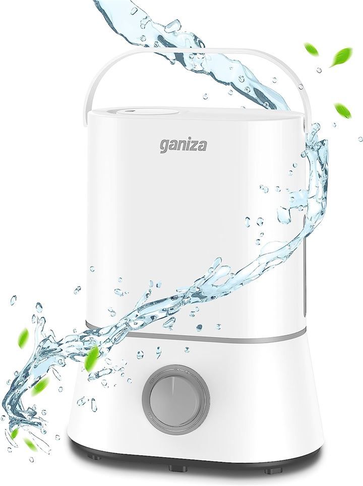 Ganiza 加湿器 卓上 4L 超音波式 小型 おしゃれ 静音 300ml/h 最大50