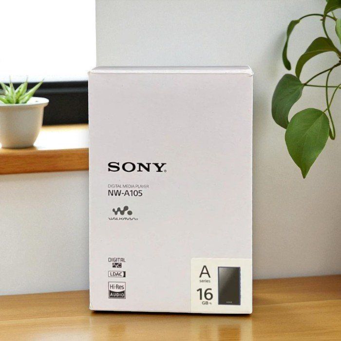 Sony ソニー ウォークマン 16GB NW-A105 LM ハイレゾ対応