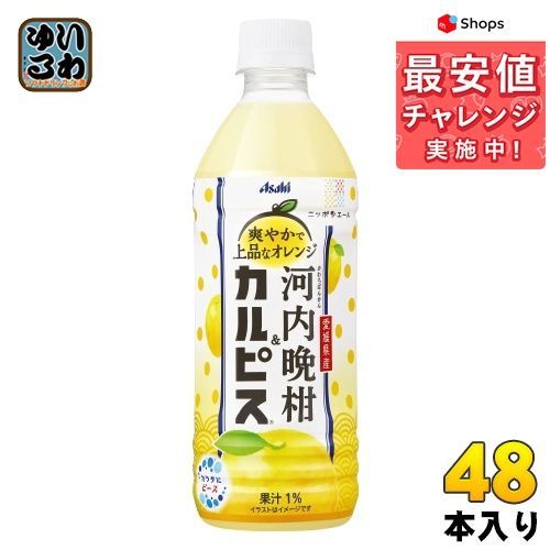 アサヒ 愛媛県産河内晩柑\u0026カルピス ペットボトル 500ml 48本