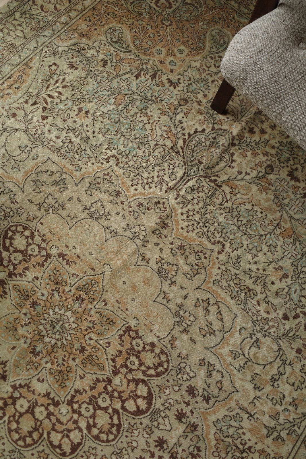 トルコ カイセリ産