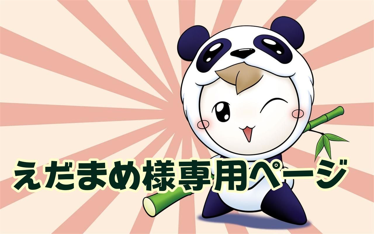 えだまめ 枝豆様専用（えだまめ様専用ページ （枝豆様 専用 work ユーロ