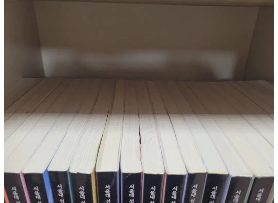 ソウル国立大学 選択 人文科学古典 50 ライン