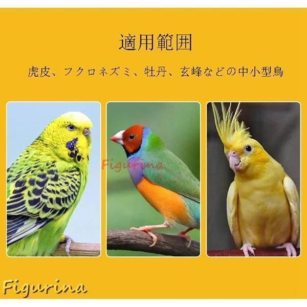 日光浴