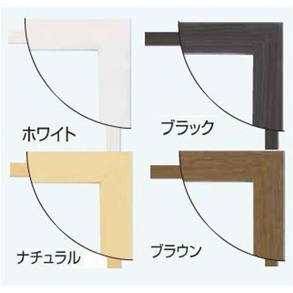 パネルフレーム ポスター額縁 B2 内寸 728ｘ515ホワイト 壁掛けひも付き 5908 シンプル パネルB2 WWW_IBETON_RU