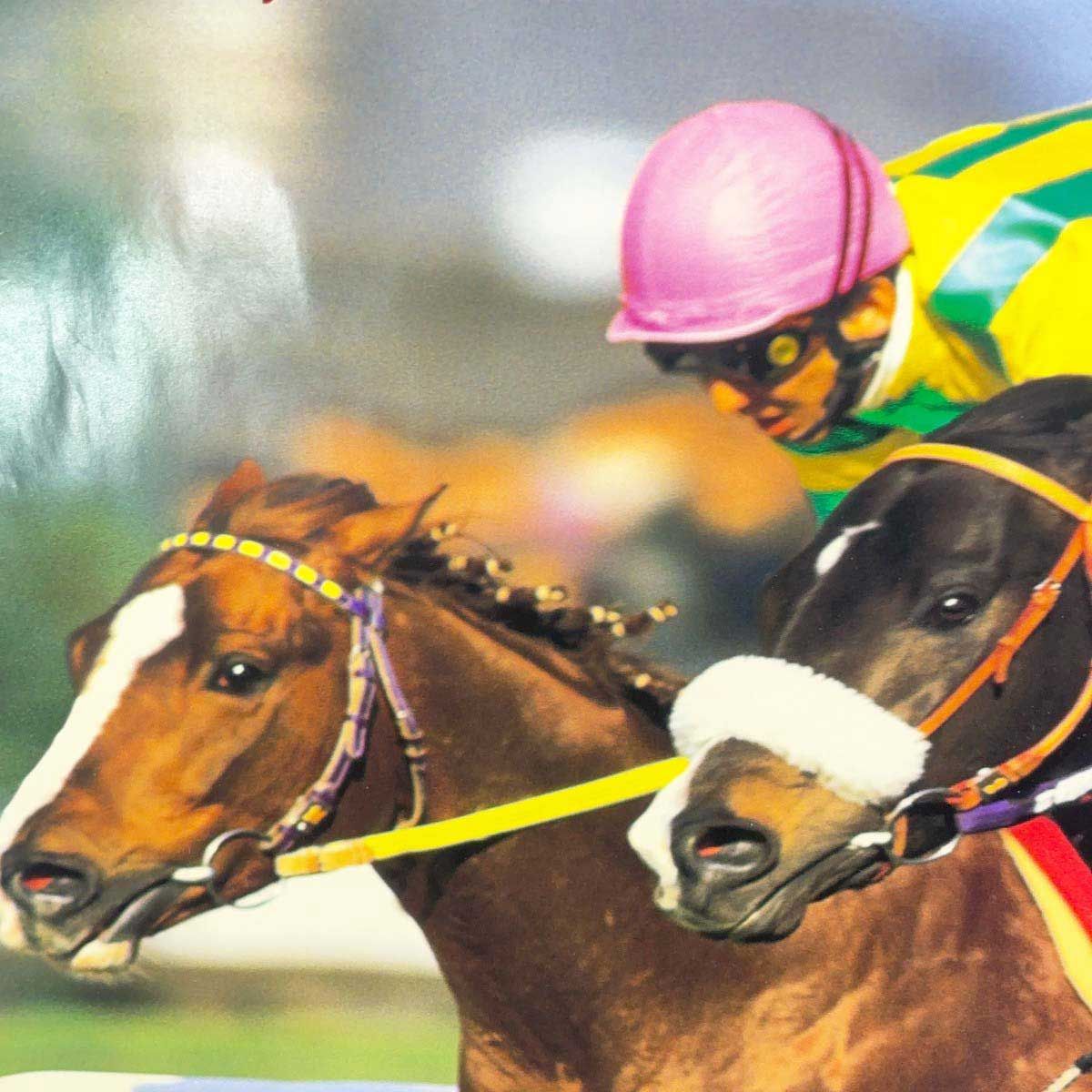 4点セット] 競馬 JRA ポスター ナリタブライアン アグネスタキオン 