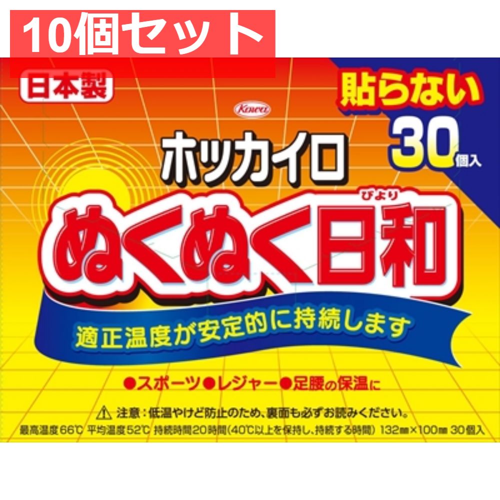 ホッカイロ ぬくぬく日和 貼らないレギュラー 30個 10個セット