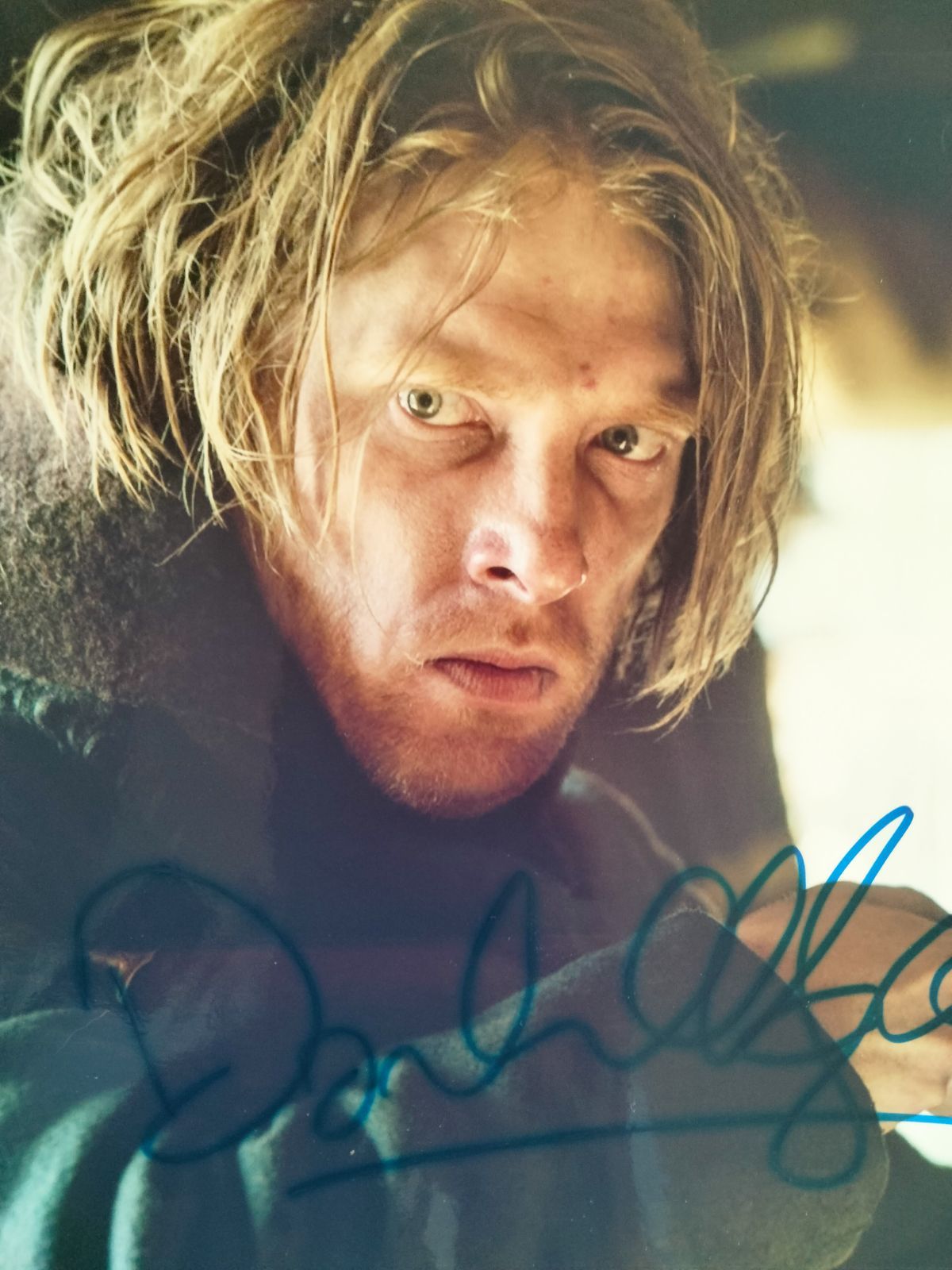 ドーナル・グリーソン直筆サイン超大型写真…Domhnall Gleeson…ハリー