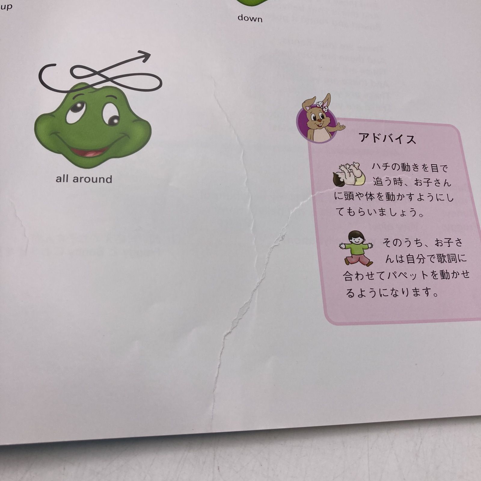 2016年購入 プレイアロング おもちゃ付き 字幕あり ディズニー