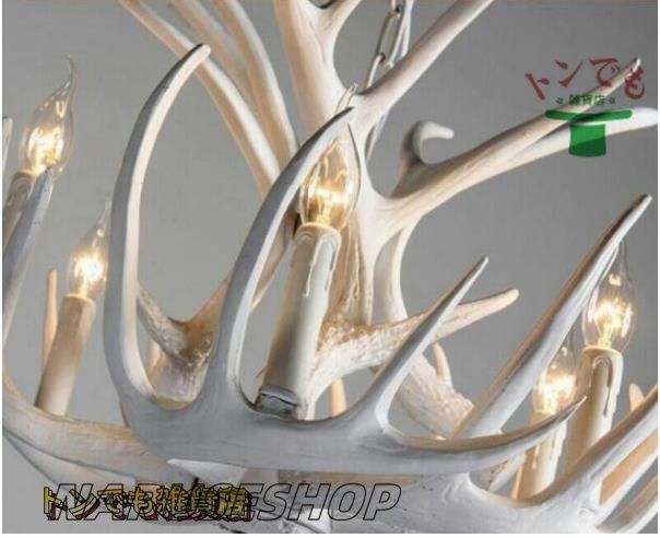 ライト天井照明