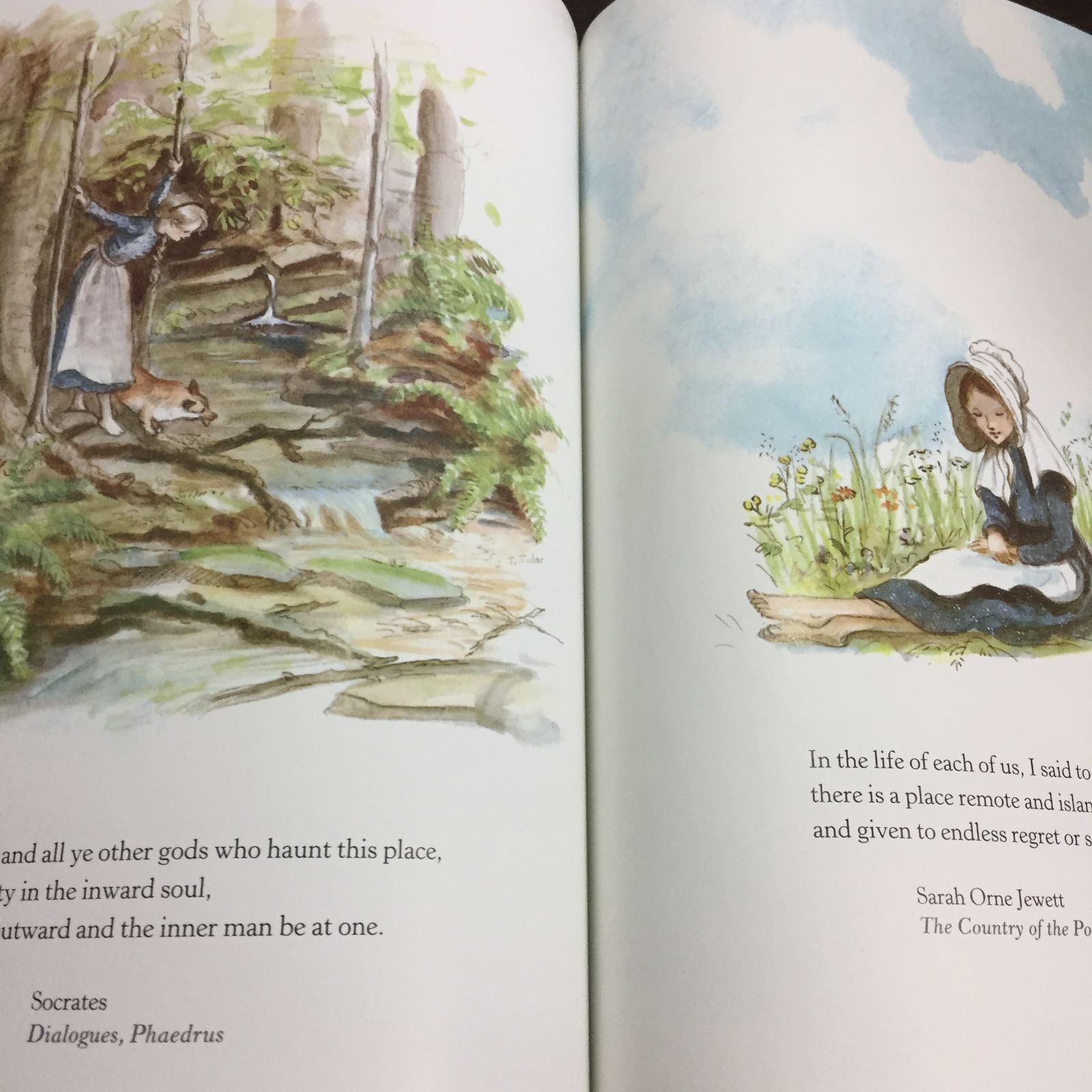ターシャテューダー洋書3冊セット ターシャ・テューダー 洋書 The Springs Of Joy Tasha Tudor A6