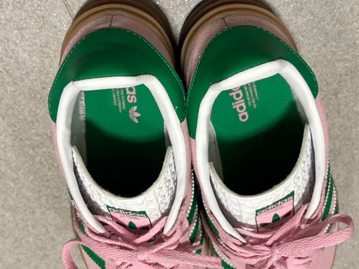 ガゼル ボールド