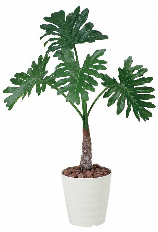 光触媒観葉植物 セロームフィロ1.0〔フロアタイプ(ミドルサイズ)〕/光触媒 観葉植物 ウンベラータ フェイクグリーン 花 胡蝶蘭 開店祝い 開業祝い 誕生祝い 造花 アートフレーム おしゃれ 飾