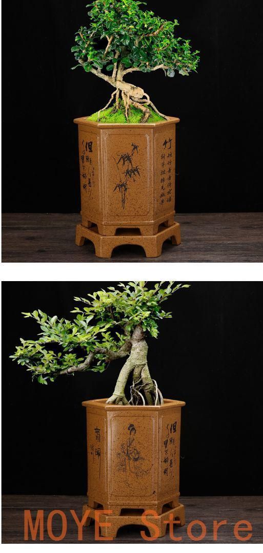 中国宜興 紫砂の鉢 盆栽鉢 植木鉢 小品盆栽鉢 大品盆栽鉢 中国宜興 紫砂の鉢 盆栽鉢 植木鉢 小品盆栽鉢 大品盆栽鉢zw0829 - メルカリ