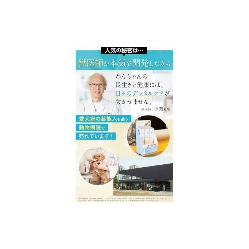  ドクターデンタルワン 犬 歯磨き 歯ブラシ 歯磨きジェル 犬用 はみがき Dr. Dental Wan 30 g 歯ブラシセット 歯磨き粉 オーラルケア