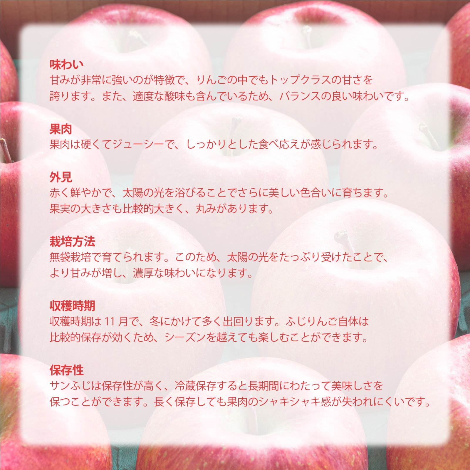 12月上旬～下旬発送＼ りんご の王道 ／【送料無料】【ギフト】 青森産 贈答用 特A 特秀 サンフジ りんご 約3kg 8〜10玉「青森 贈答 サンフジ3」ギフト対応可 林檎