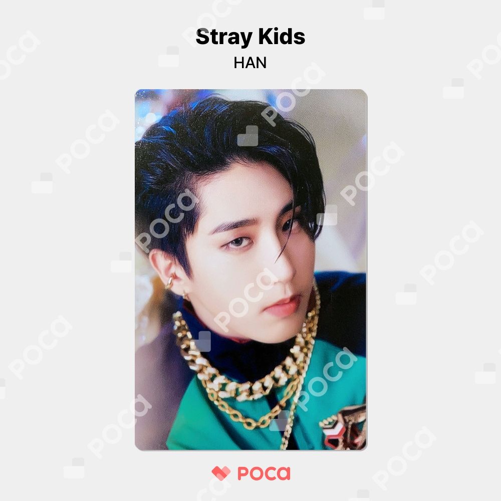 Stray Kids - STRAYKIDS SKZOO ポップアップ popup トレカケース ハン Stray Kids - STRAYKIDS SKZOO ポップアップ popup トレカケース