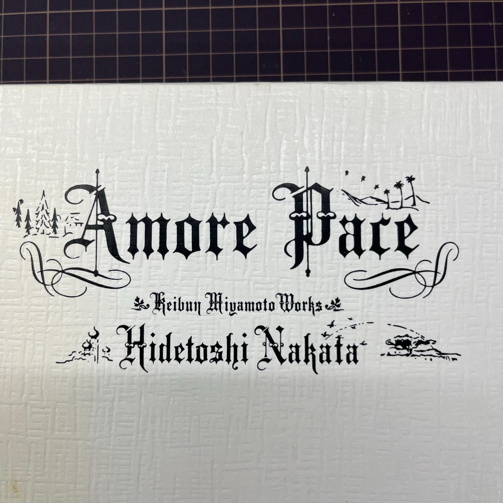 中田英寿 写真集 Amore Pace