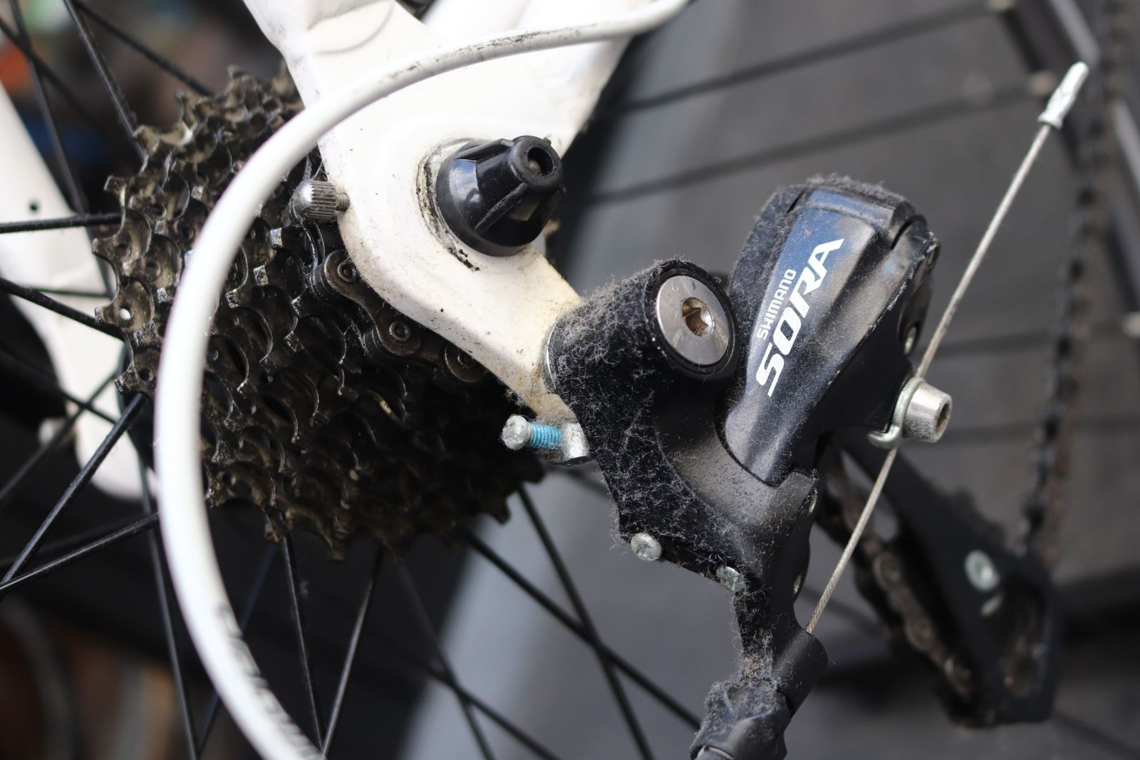 ロードバイク 東京南麻布店