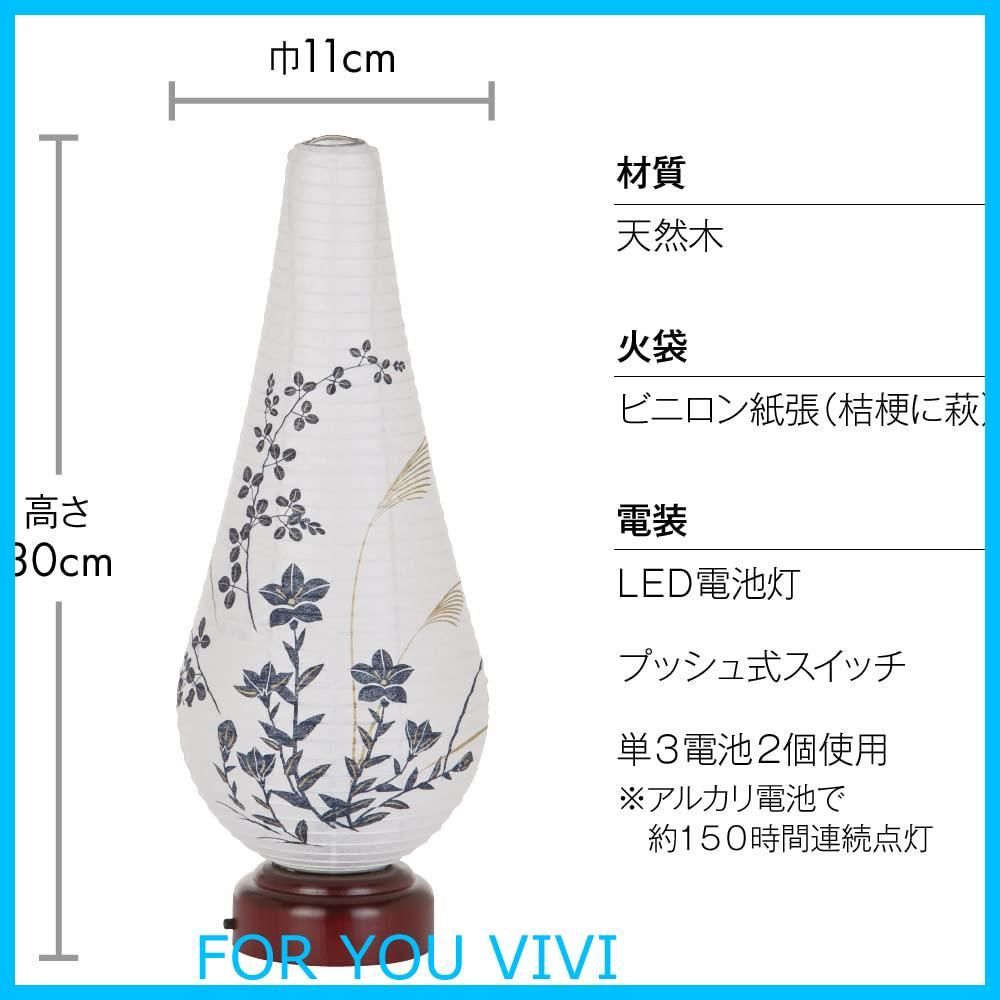 コードレス 天橋立
