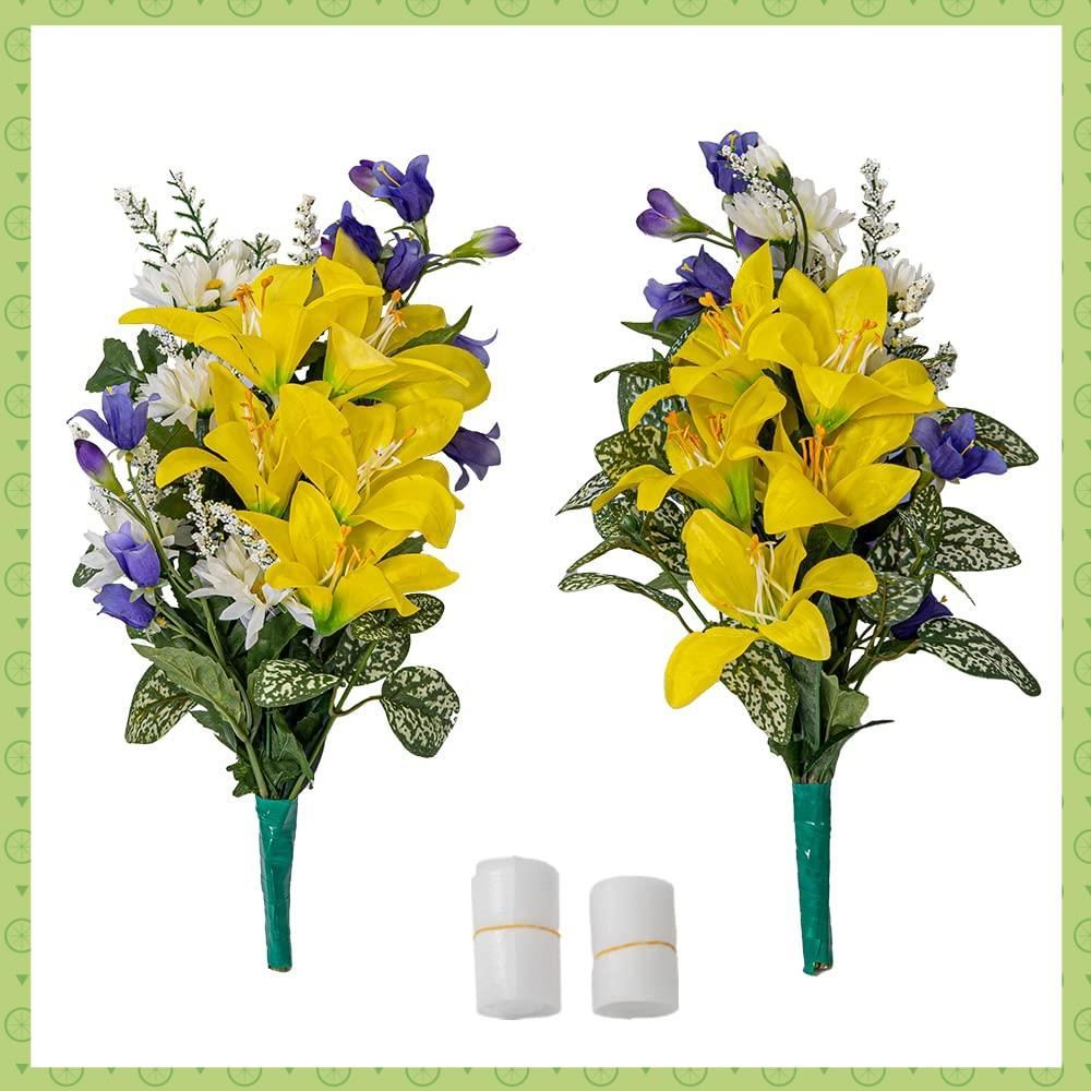 激安！ ストレチア オーガスタ B 大型❗️ 164センチ 10号鉢 観葉植物