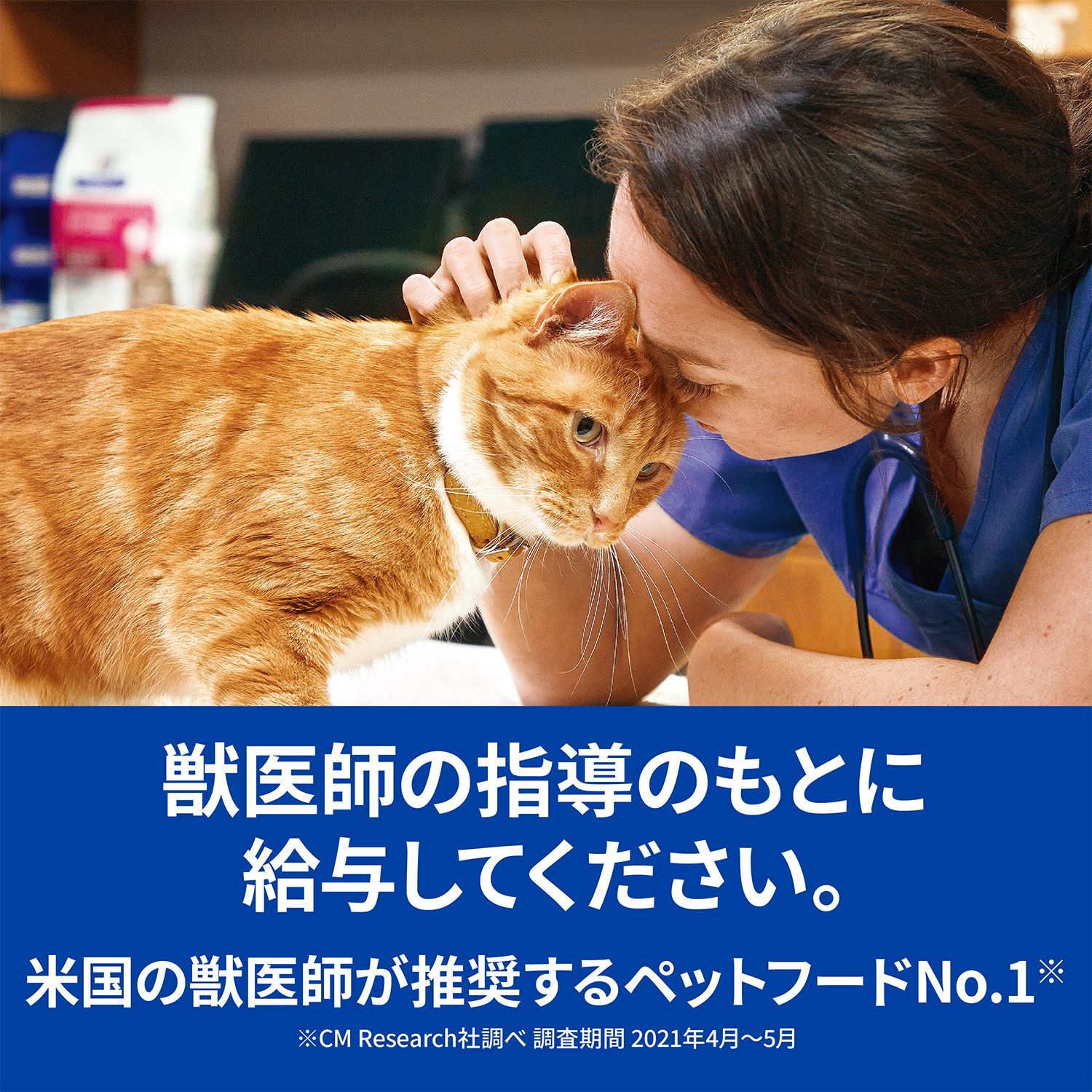 公式 猫用