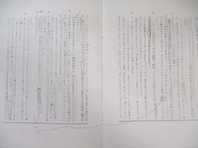 SAPIX 小6 サピックス デイリーA/B/スプリング/サマー 国語 通年セット 【計99回分】 2024 ★ 290L2D SAPIX 小6 サピックス デイリーA/B/スプリング/サマー 国語 通年