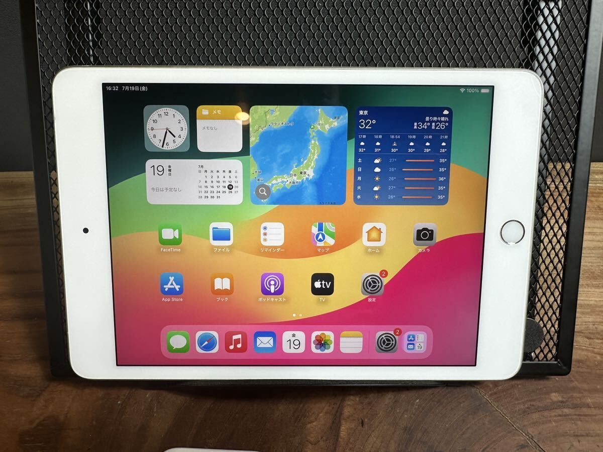 Apple iPad mini (5世代)/ 256GB/Wi-Fi +SIMフリー /cellular