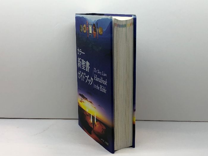 カラー新聖書ガイドブック いのちのことば社 パット