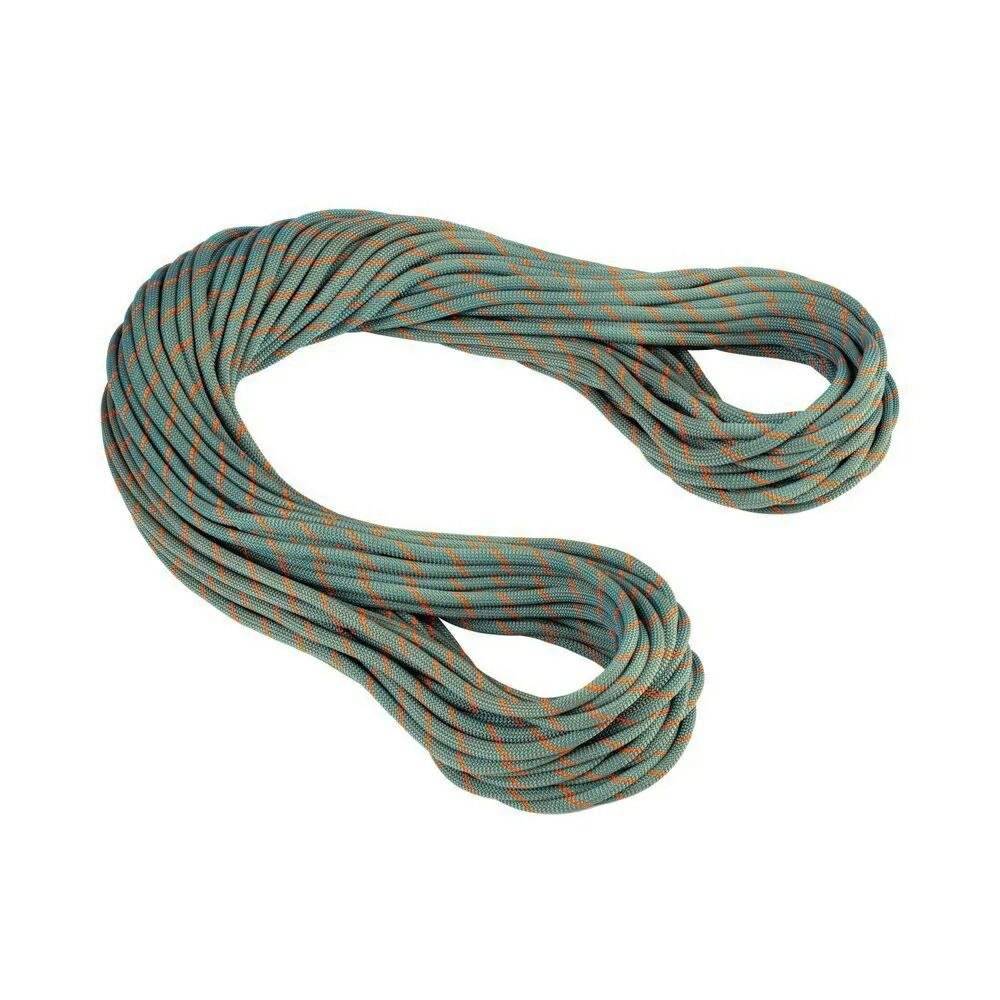 お取り寄せ ２～４週間で発送 マムート クラッグ ワークホース ドライ 9.9mm ロープ Dry Standard. Boa | Ocean t MAMMUT Crag Workhorse Dry 9.9 mm t