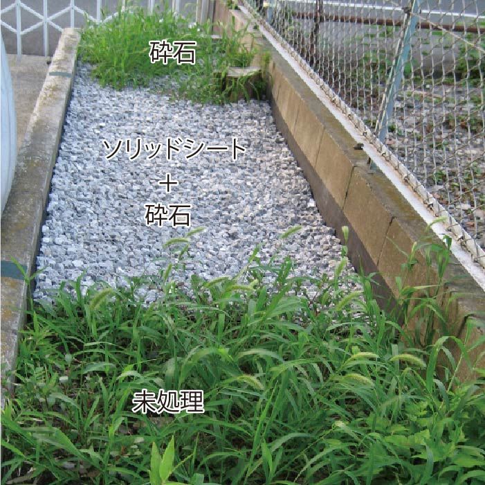 除草シート 50m