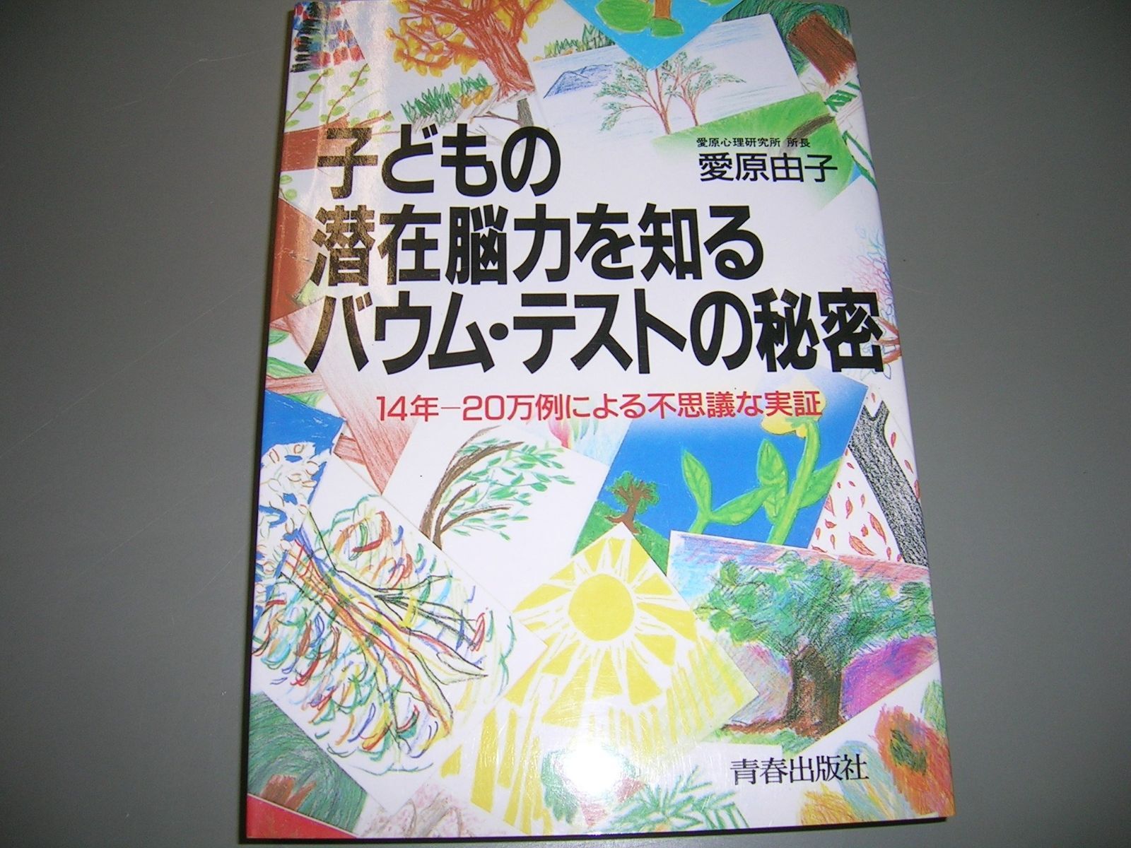 子どもの潜在脳力を知るバウム テストの秘密 14年 20万例による不思議な実証