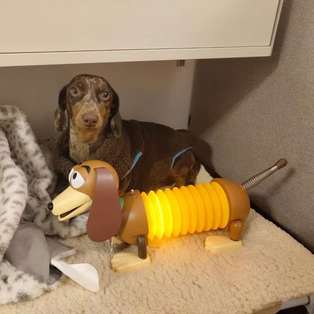 トイストーリー スリンキー ドッグ ルーム ライト ストレッチ ランプ フィギュア MARTUBE 公式 海外 スリンキードッグ xt WWW_OLIVIERBERNSTEIN_COM