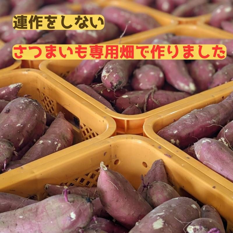 干しいも