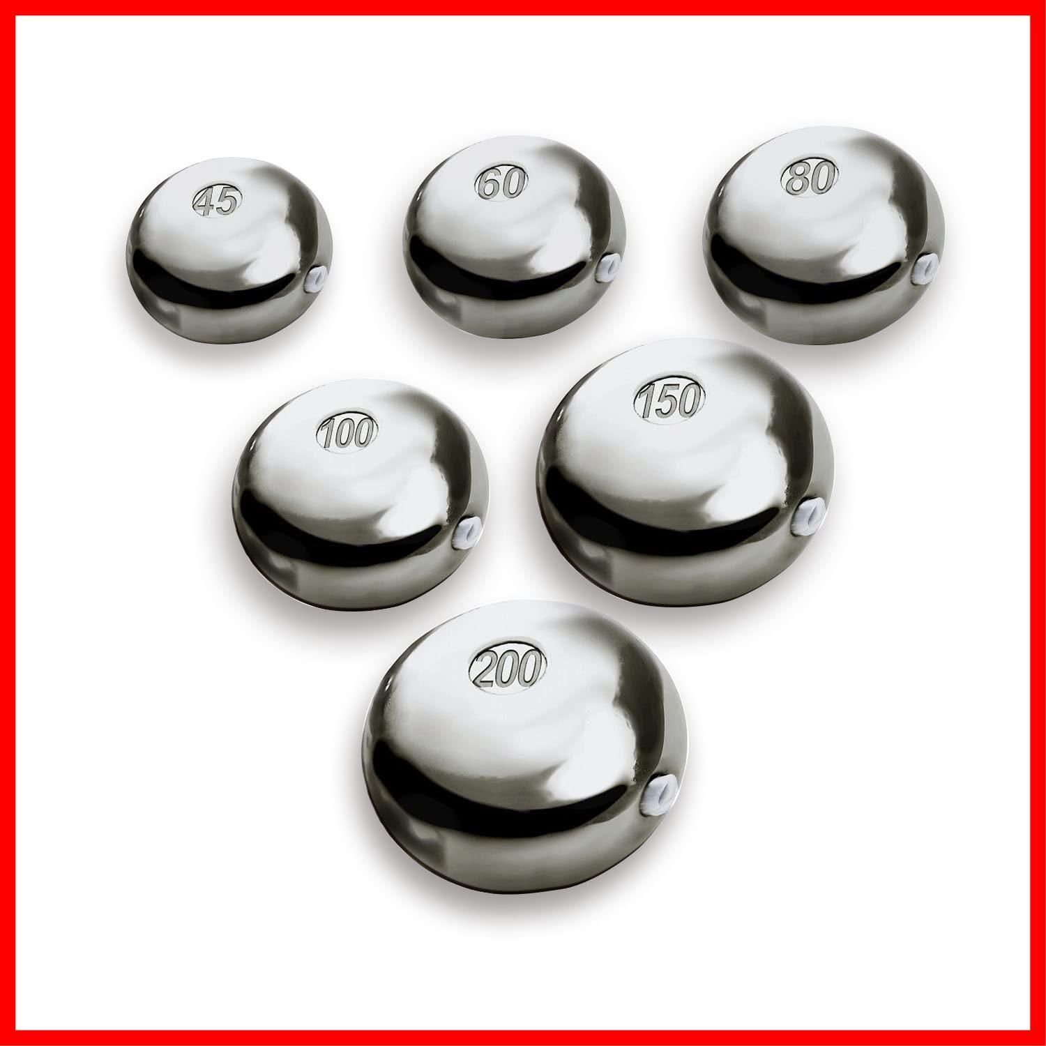 【特売】王子 タイラバ ヘッド タングステン 保護チューブ付 タイラバヘッド 鯛ラバ 誘導式 自作 人気 オモリ 45g 60g 80g 100g 120g 150g 200g 250g 300g から選択