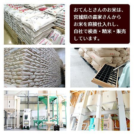 令和6年産　宮城県産　つや姫　5kg
