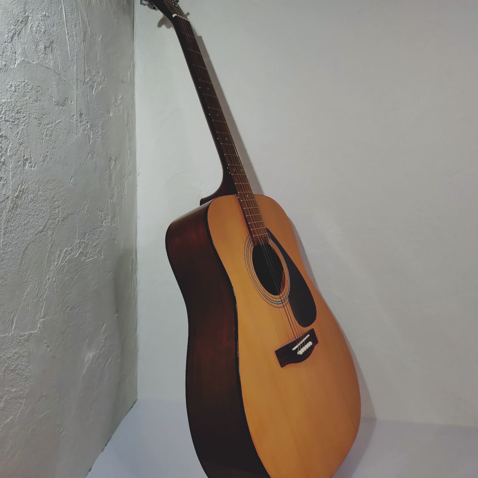 F310P