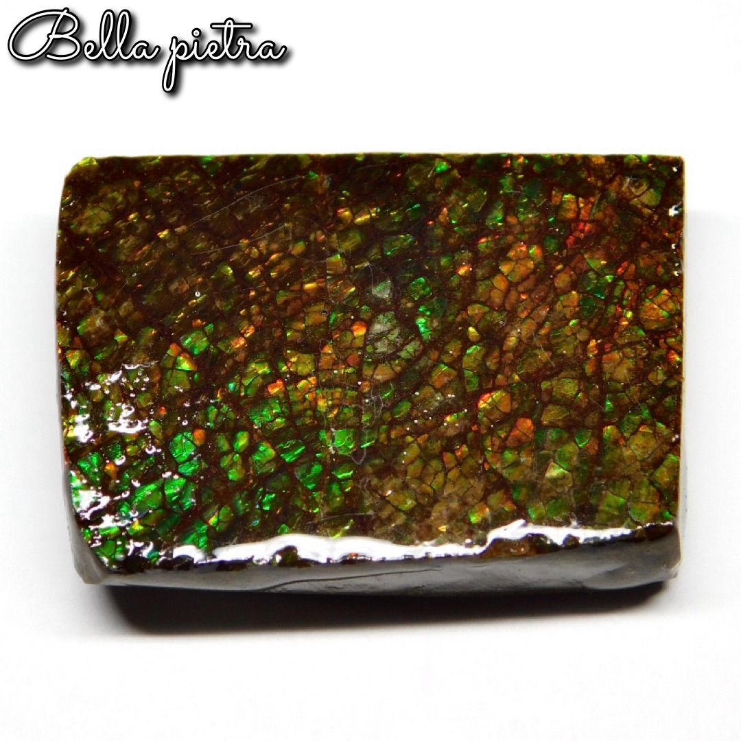 アンモライト　欠片　ピース　ドラゴンスキン 人気のドラゴンスキンタイプ！細やかなクラック模様が、まるで