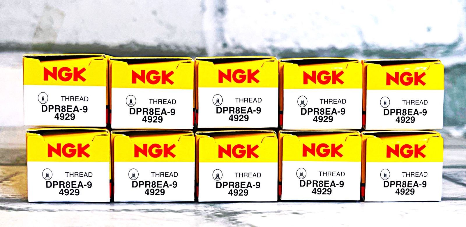 NGK DPR8EA-9 (4929) 10個セット 新品 送料込 トライアンフ TIGER ('01～) 適合