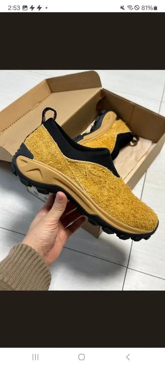 夢を追う メレル ウィンター首 3 サイズ 280