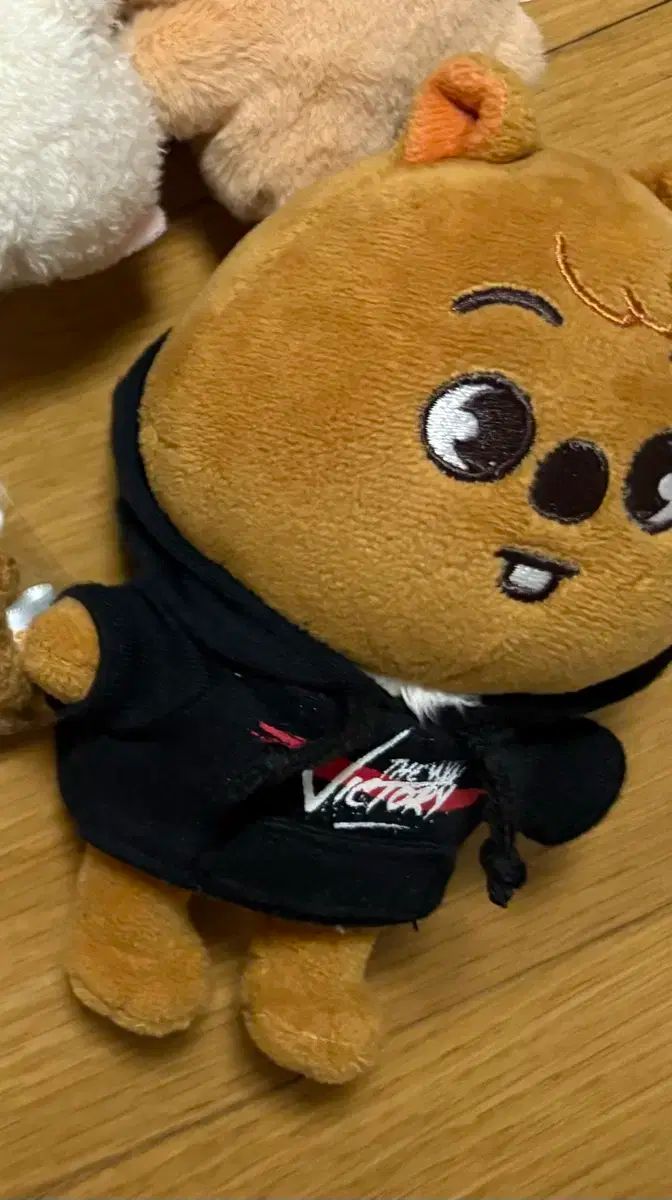 スキズ テディベア ぬいぐるみ teddybear SKZOO ポガリ Stray Kids