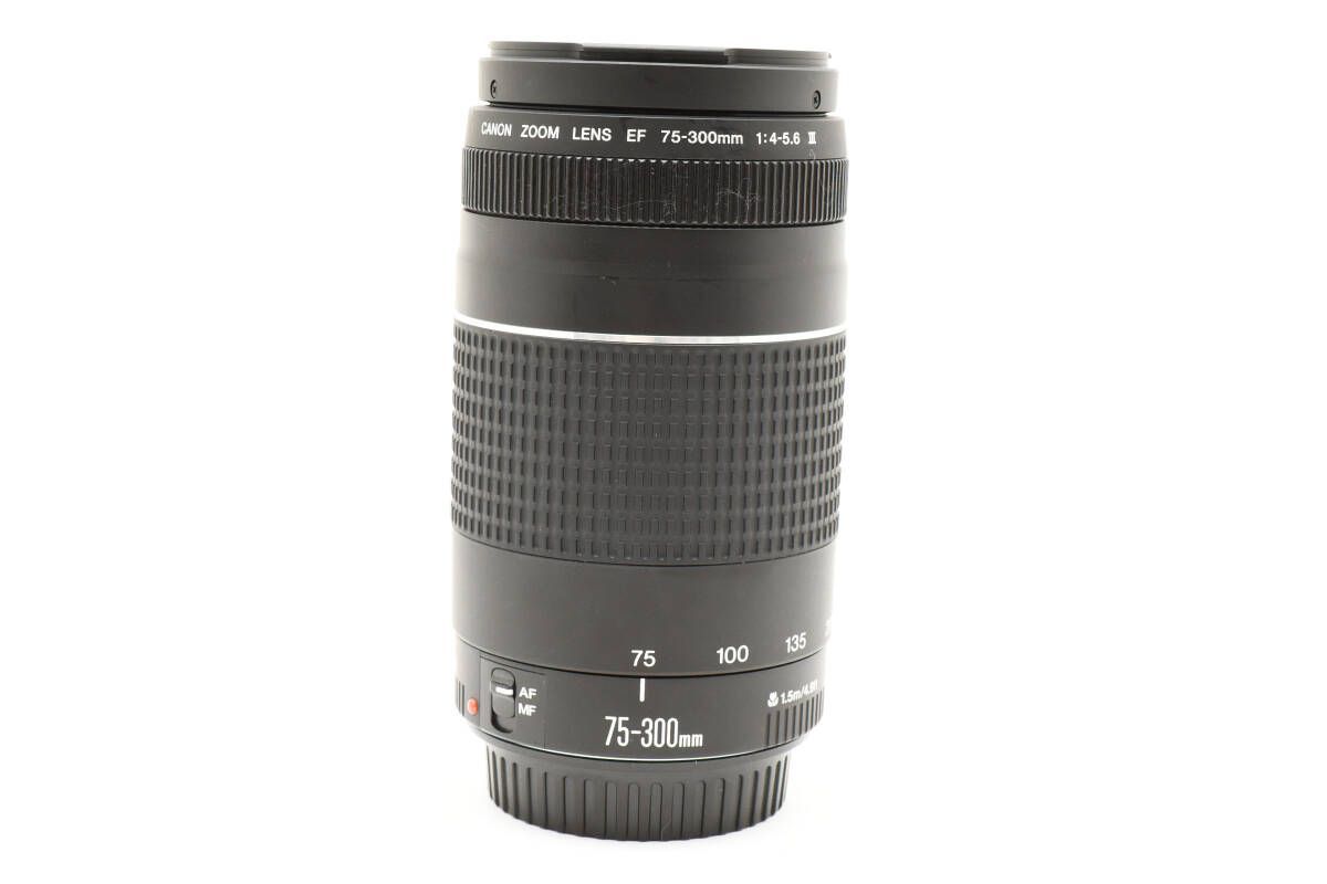 ★キャノン Canon EF 75-300mm F4-5.6 Ⅲ★ K220 #1829