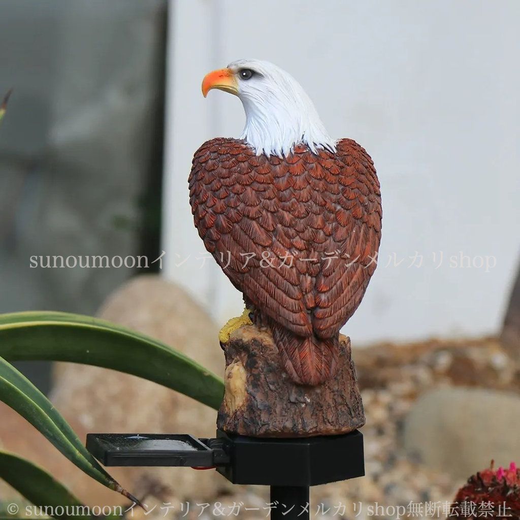 ガーデニング 庭