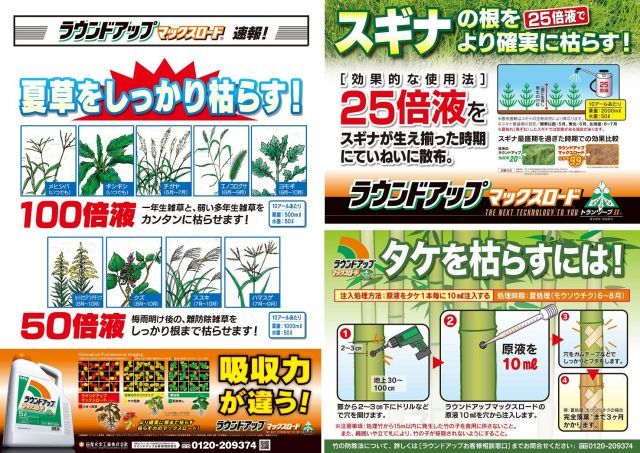 北海道 沖縄