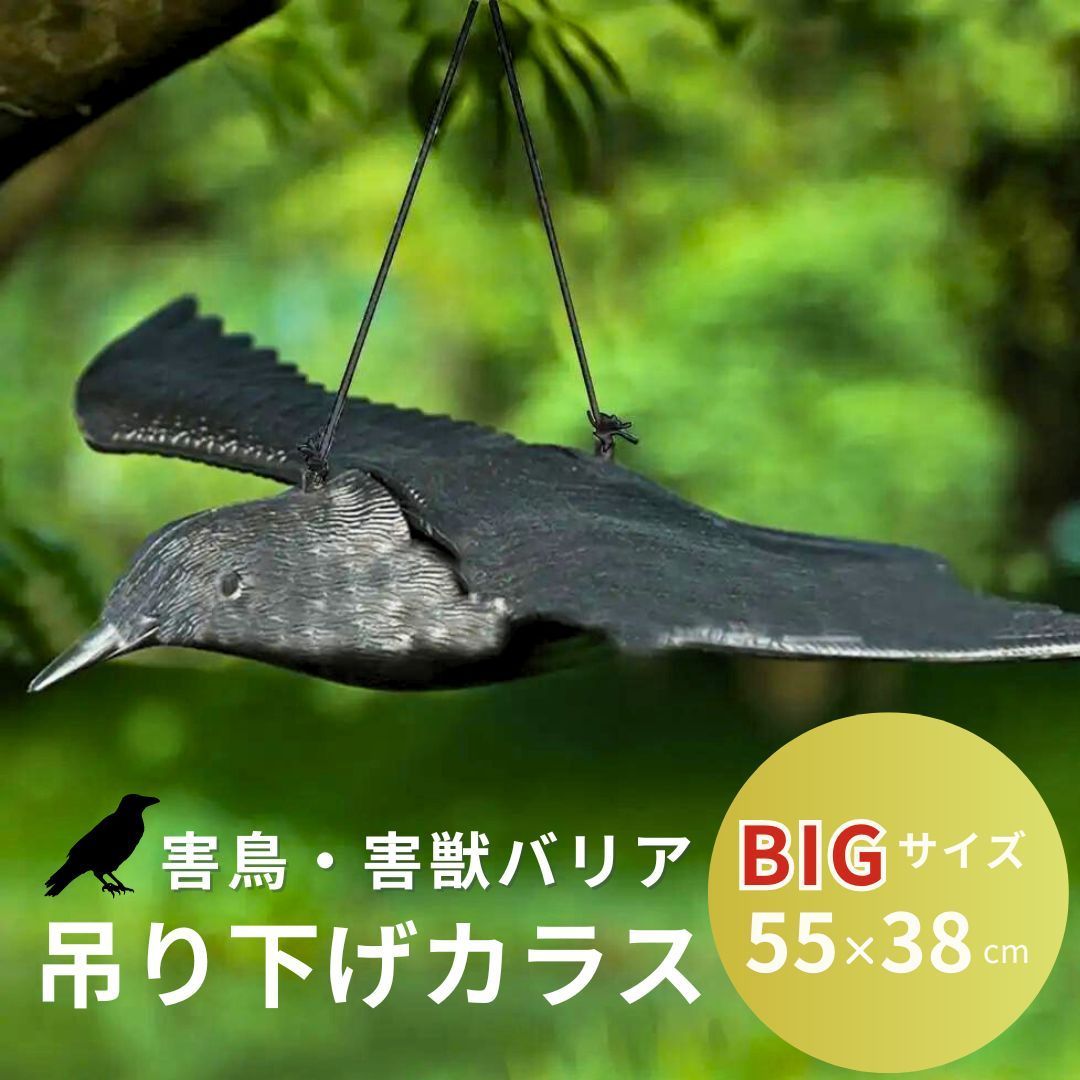 shopeast_s-kk2403-33a