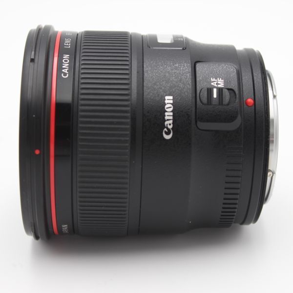 レンズ(単焦点) Canon EF24mm F1.4 L II USM EF24mm F1.4L II USMで切り取る光の物語 - 魅惑の中望遠