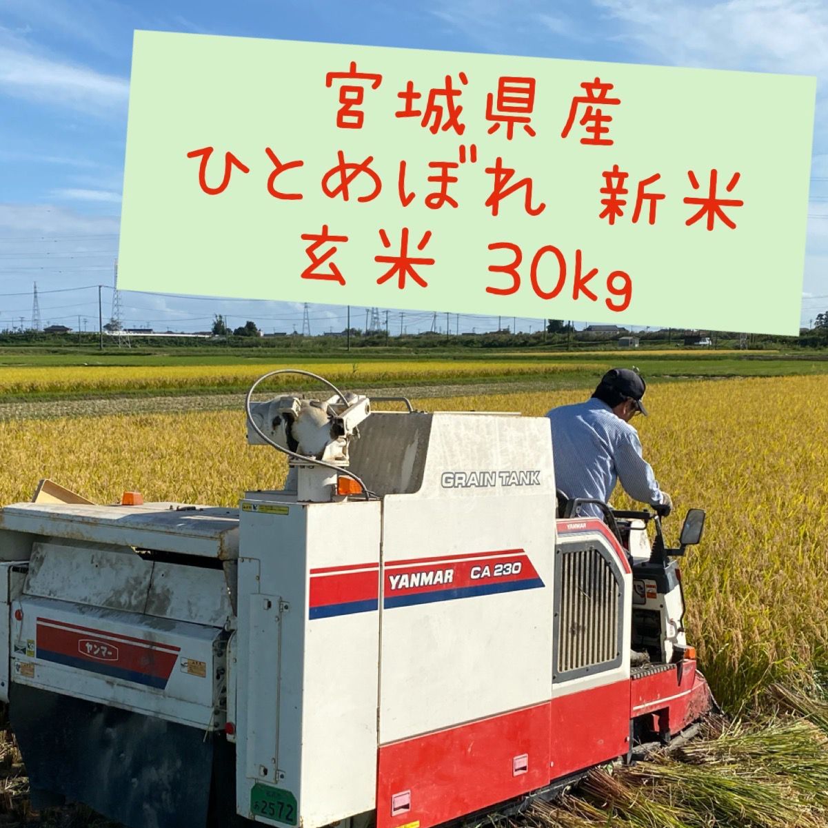 メルカリShops - 【新米】宮城県産ひとめぼれ 30kg 令和4年 玄米 ...