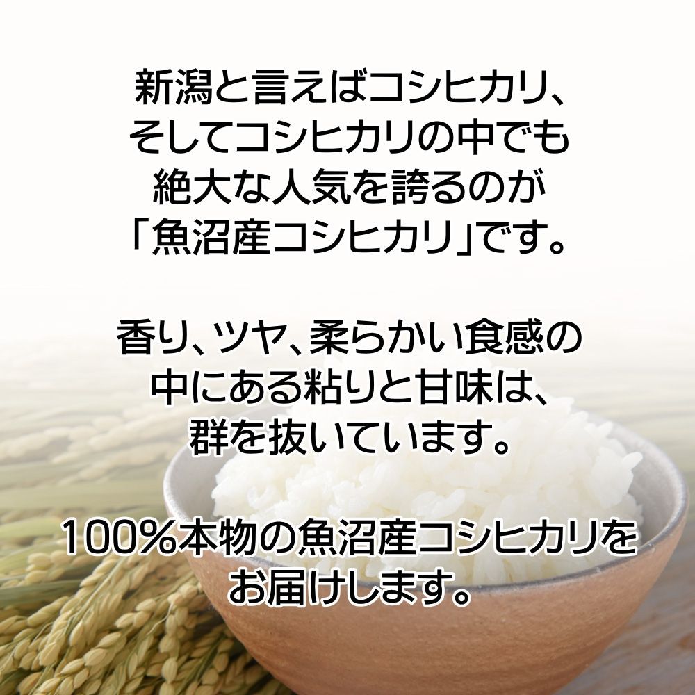 南魚沼産 コシヒカリ 玄米 15kg（5kg×3袋）新潟 魚沼産こしひかり 産地
