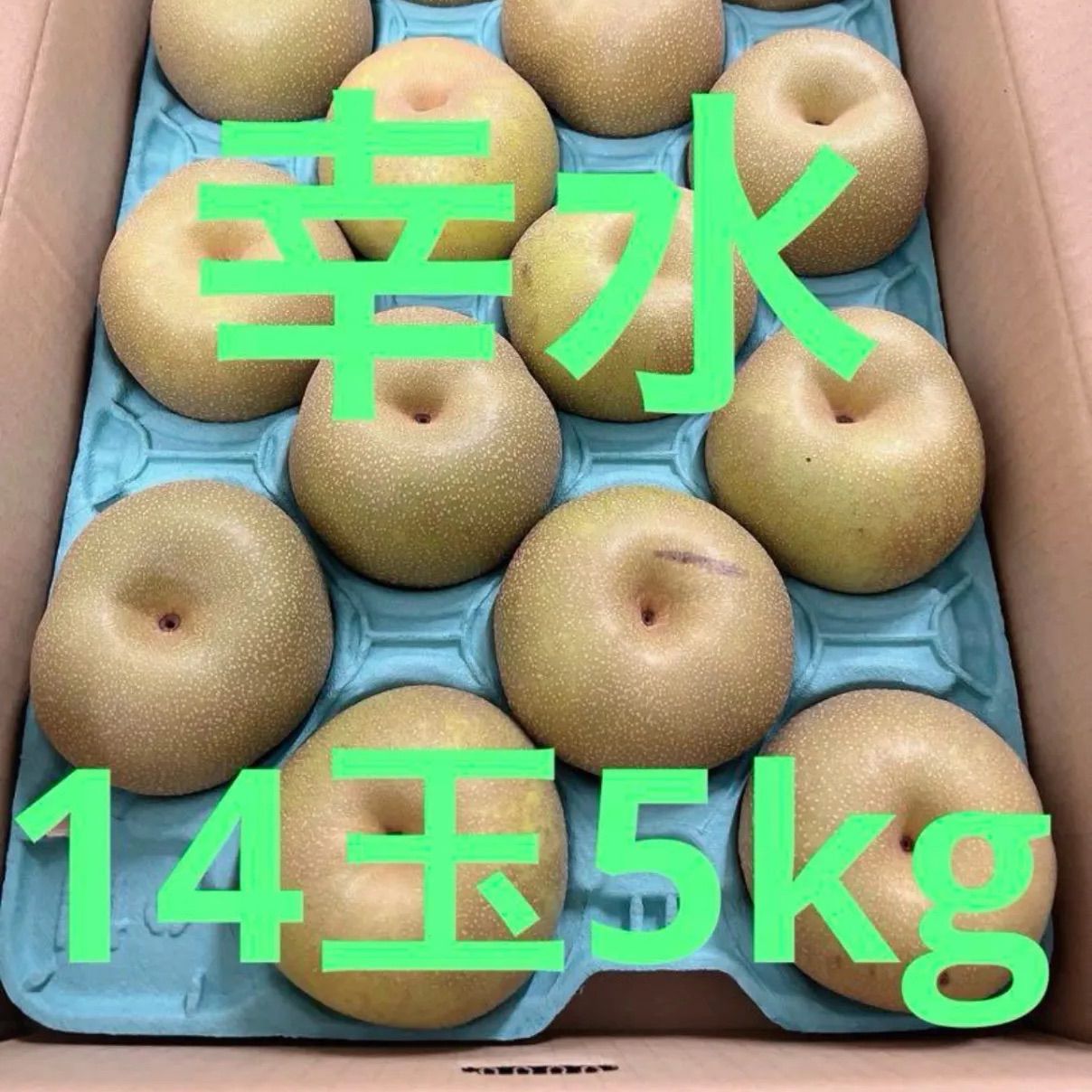 ナシ様専用 mayu様専用 お食い初め膳ナシ 100日祝い | Pay ID ナシ様専用 mayu様専用 お食い初め膳ナシ 100日祝い | Pay ID