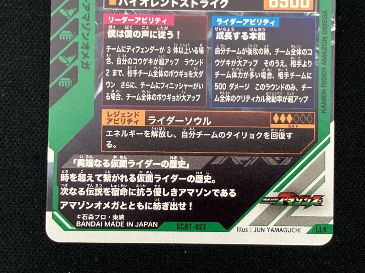 仮面ライダーバトル ガンバライジング